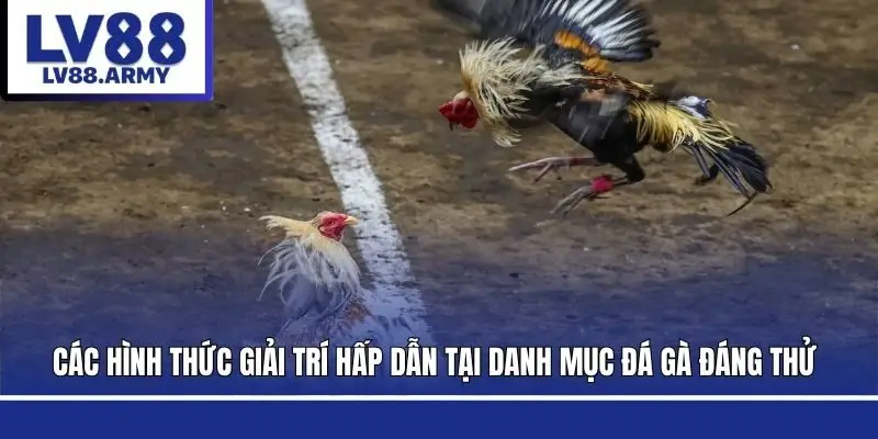 da-ga-lv88-cac-loai-hinh