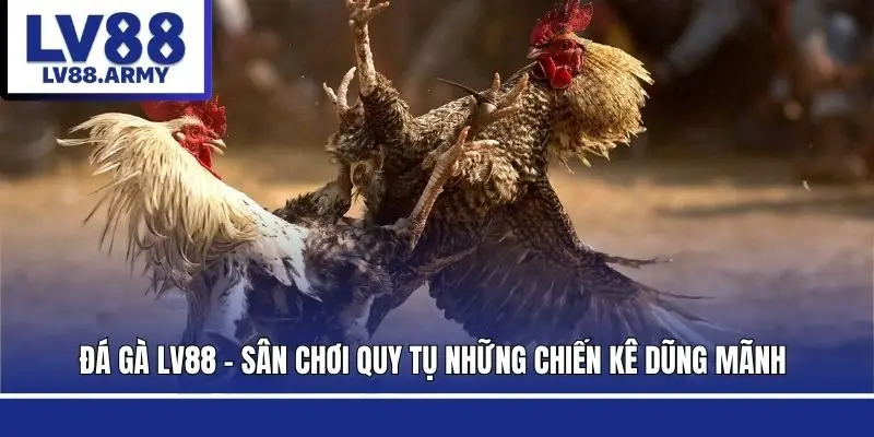 da-ga-lv88-san-choi-quy-tu-nhung-chien-ke-dung-manh